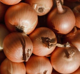 Cipolla dorata di Parma