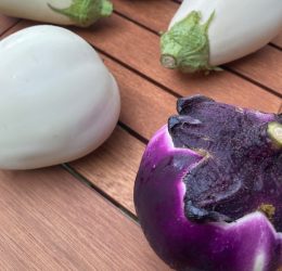 Melanzane: Tonda lilla siciliana & Ovale Bianca