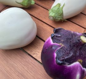 Melanzane: Tonda lilla siciliana & Ovale Bianca