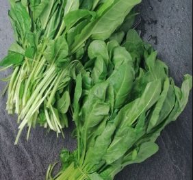 Bietola “erbetta” Riviera
