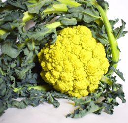 Broccolata genovese