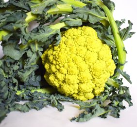 Broccolata genovese