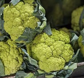 Broccolata genovese