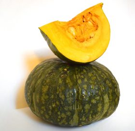 Zucca Delica mantovana