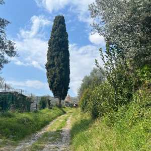 Fattoria didattica a Genova I Tesori di levante