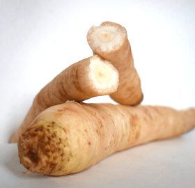 Radice amara di Chiavari