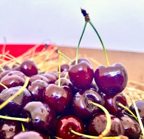 Ciliegia – Visciola e Camoglino