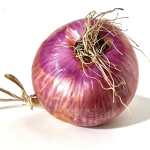 Cipolla rossa genovese di Zerli