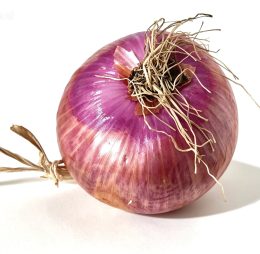 Cipolla rossa di Zerli