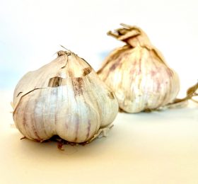 Aglio nuovo