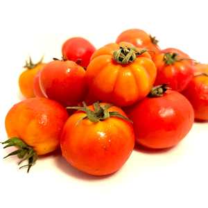 pomodoro pursemin antico ortaggio ligure