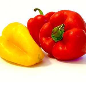 peperone genovese